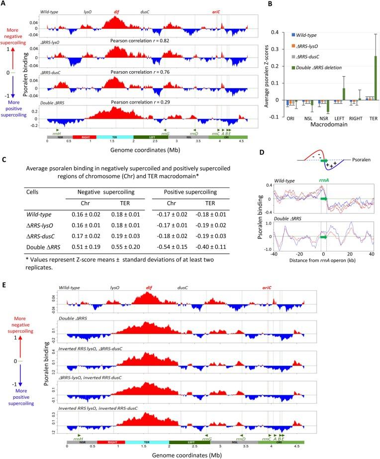 https://cdn.ncbi.nlm.nih.gov/pmc/blobs/6884/11194060/87c37122e8b9/gkae320fig6.jpg