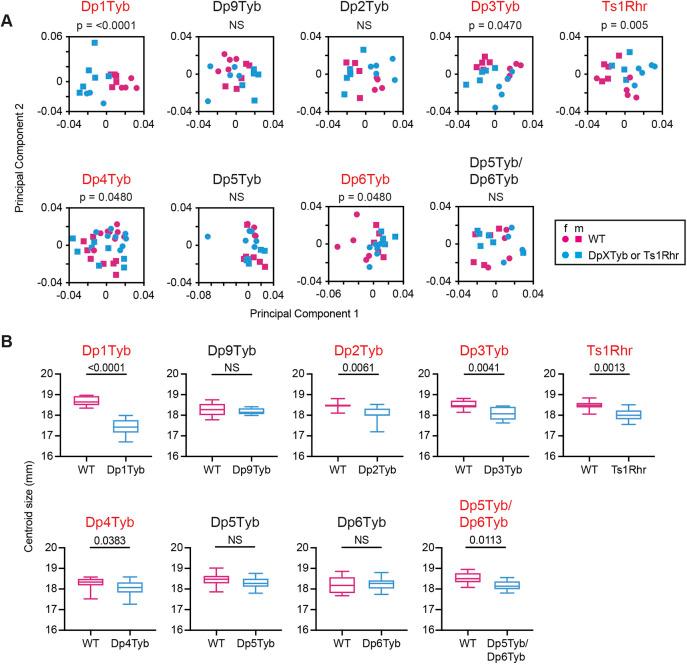 https://cdn.ncbi.nlm.nih.gov/pmc/blobs/6885/10163349/6746b0739737/develop-150-201077-g2.jpg