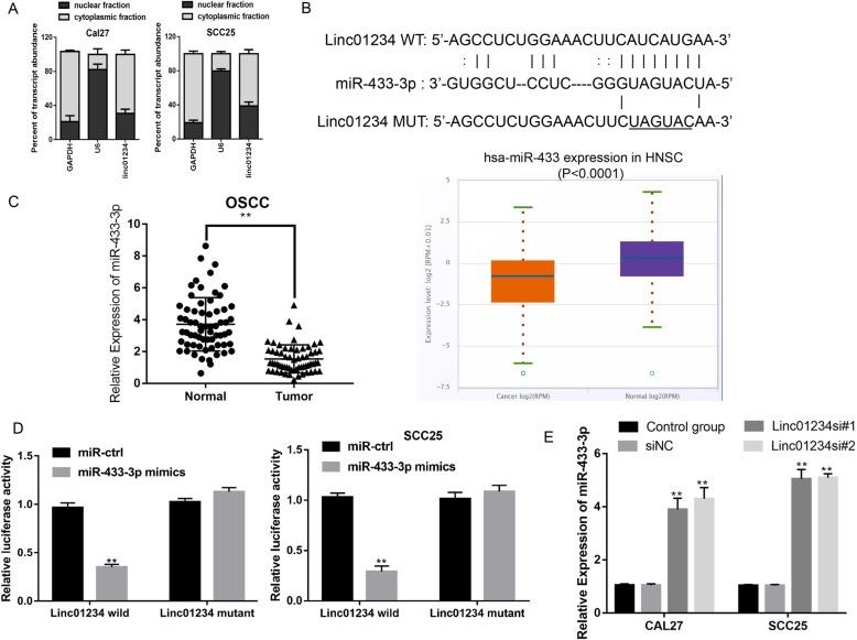 https://cdn.ncbi.nlm.nih.gov/pmc/blobs/6885/7011552/5ae94d9fb98b/12885_2020_6541_Fig4_HTML.jpg