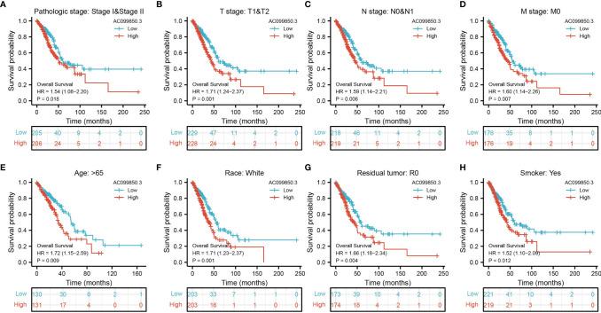 https://cdn.ncbi.nlm.nih.gov/pmc/blobs/6885/9132095/50c9deb01e8f/fonc-12-895708-g004.jpg