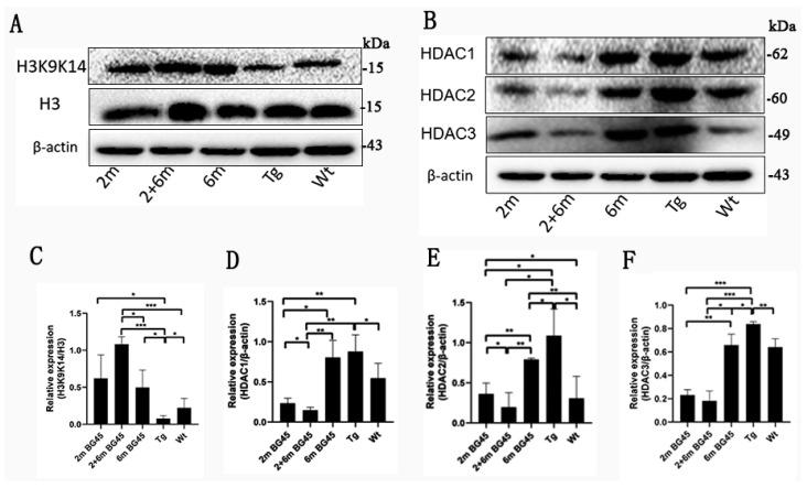 https://cdn.ncbi.nlm.nih.gov/pmc/blobs/6886/10003411/7914c32cdabf/ijms-24-04805-g003.jpg