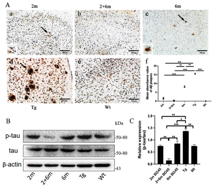 https://cdn.ncbi.nlm.nih.gov/pmc/blobs/6886/10003411/90232b8906de/ijms-24-04805-g005.jpg