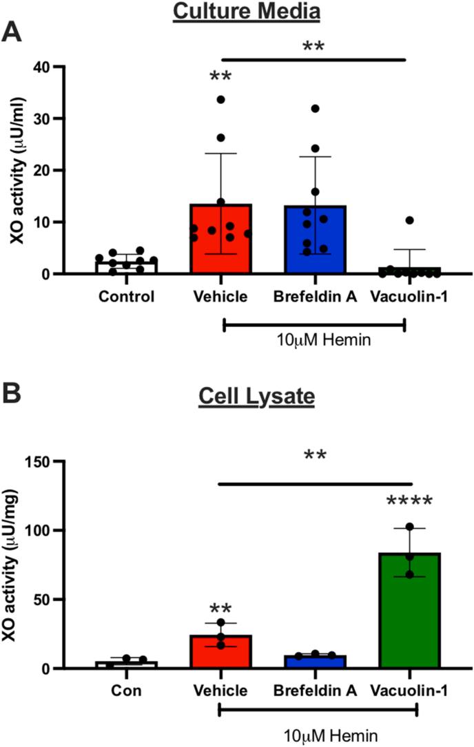 https://cdn.ncbi.nlm.nih.gov/pmc/blobs/6886/10506059/06af051152d3/gr3.jpg