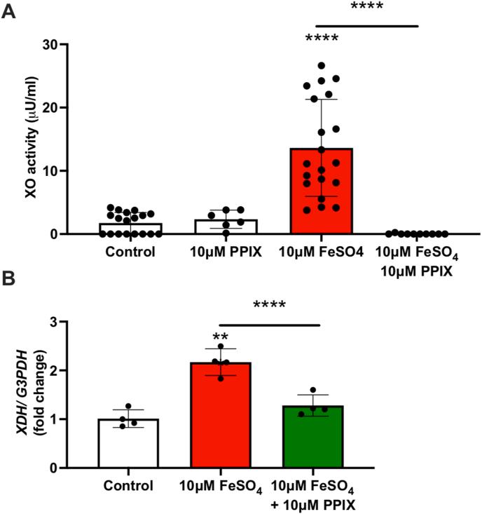 https://cdn.ncbi.nlm.nih.gov/pmc/blobs/6886/10506059/45ec151f7cef/gr4.jpg