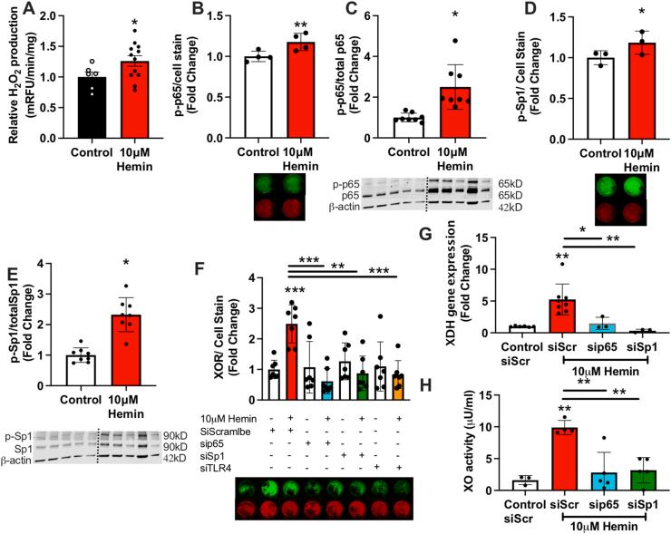 https://cdn.ncbi.nlm.nih.gov/pmc/blobs/6886/10506059/e148ca6f685f/gr6.jpg