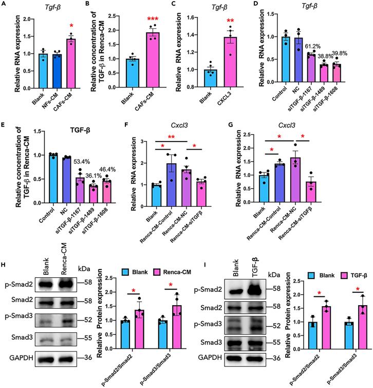 https://cdn.ncbi.nlm.nih.gov/pmc/blobs/6888/11261419/159215c99b92/gr7.jpg