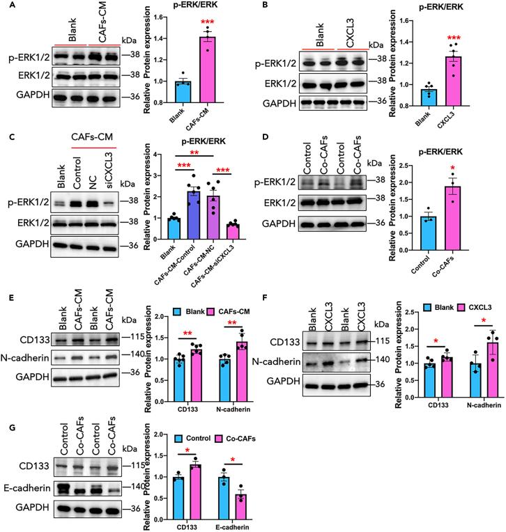 https://cdn.ncbi.nlm.nih.gov/pmc/blobs/6888/11261419/28ea9aeedca4/gr5.jpg