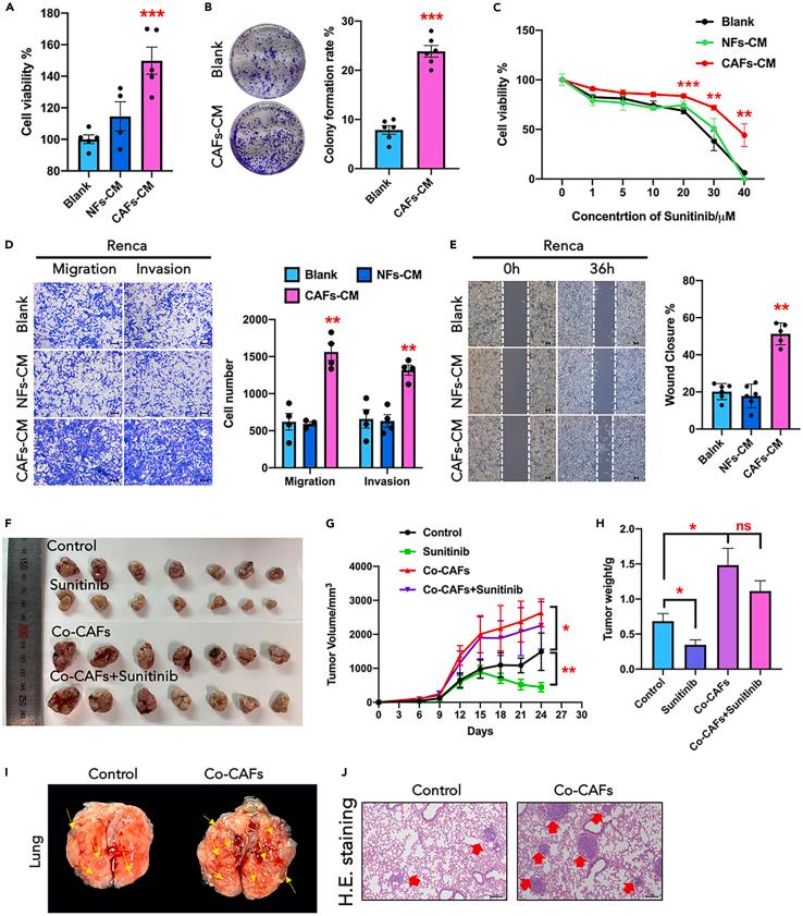 https://cdn.ncbi.nlm.nih.gov/pmc/blobs/6888/11261419/8abce800907e/gr2.jpg