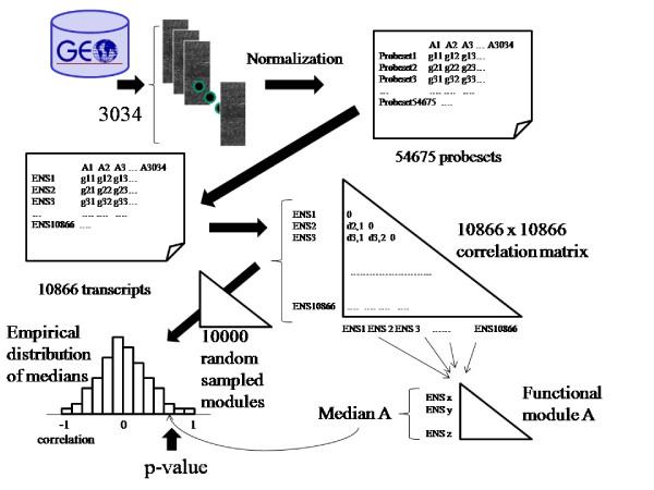 https://cdn.ncbi.nlm.nih.gov/pmc/blobs/6888/2680416/23e1845eb388/1471-2164-10-197-4.jpg