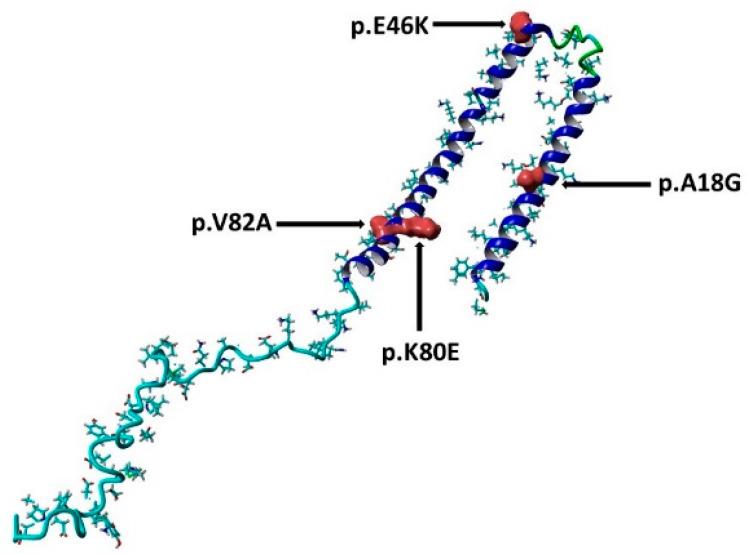 https://cdn.ncbi.nlm.nih.gov/pmc/blobs/688a/10529770/84bfda0c28cc/diseases-11-00115-g009.jpg