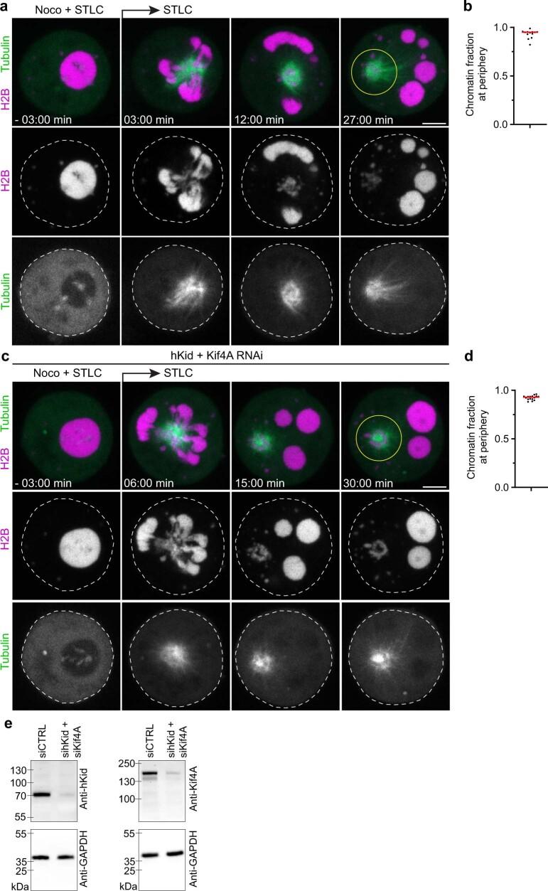https://cdn.ncbi.nlm.nih.gov/pmc/blobs/688b/9433320/3d44fbf459a9/41586_2022_5027_Fig14_ESM.jpg