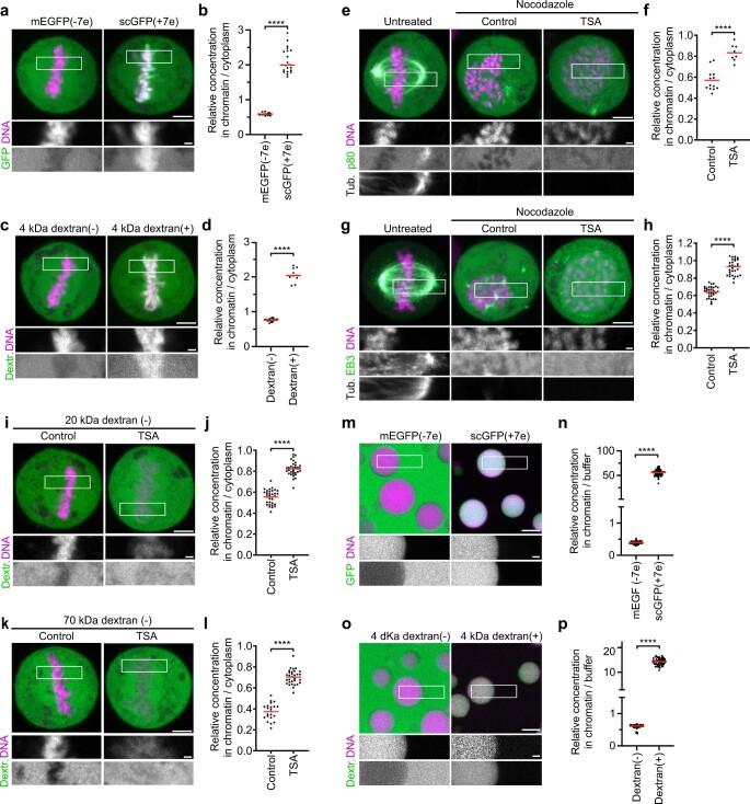 https://cdn.ncbi.nlm.nih.gov/pmc/blobs/688b/9433320/ad936bf39685/41586_2022_5027_Fig13_ESM.jpg