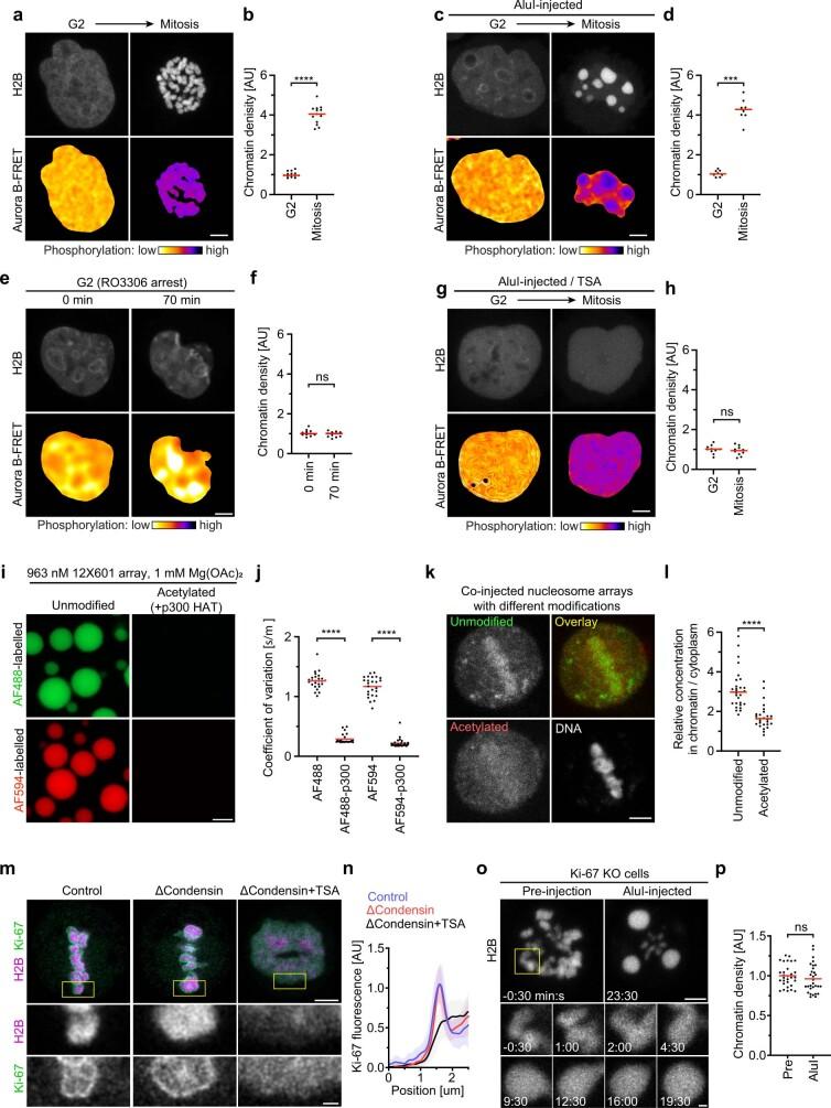 https://cdn.ncbi.nlm.nih.gov/pmc/blobs/688b/9433320/bcfef07fba02/41586_2022_5027_Fig12_ESM.jpg