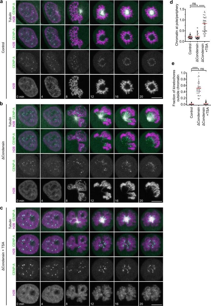 https://cdn.ncbi.nlm.nih.gov/pmc/blobs/688b/9433320/e62e99fad871/41586_2022_5027_Fig6_ESM.jpg