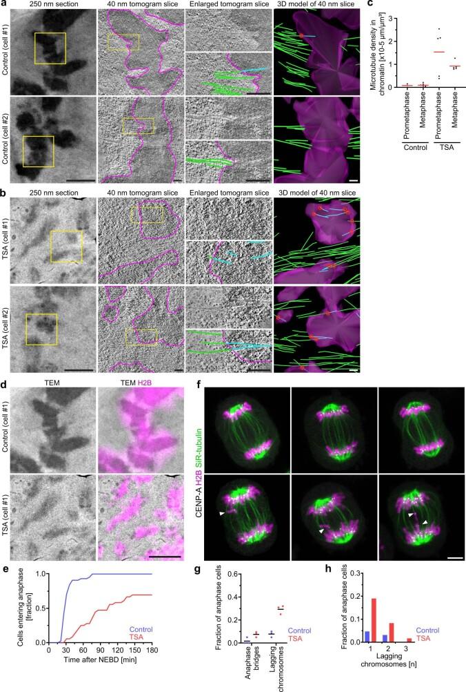 https://cdn.ncbi.nlm.nih.gov/pmc/blobs/688b/9433320/ef49e13b0dff/41586_2022_5027_Fig10_ESM.jpg