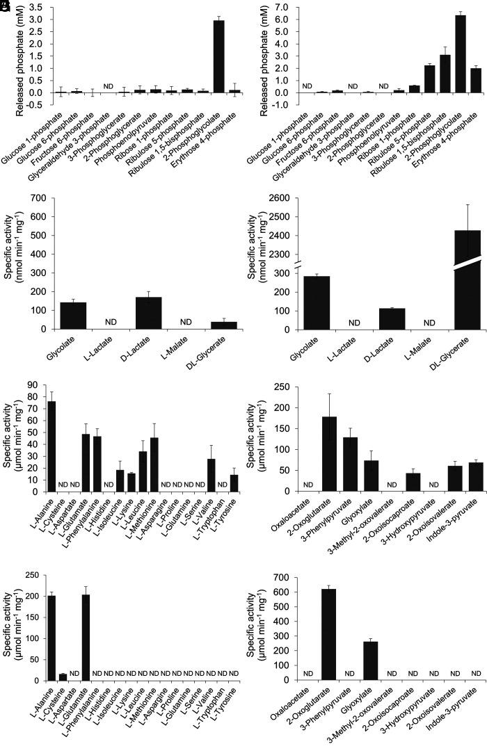 https://cdn.ncbi.nlm.nih.gov/pmc/blobs/688c/11032457/1fcef47846be/pnas.2311390121fig03.jpg