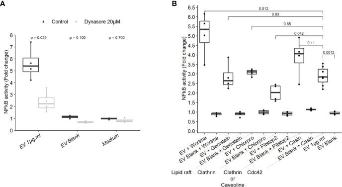 https://cdn.ncbi.nlm.nih.gov/pmc/blobs/688e/7779620/5b77c0297a0b/fimmu-11-583644-g005.jpg