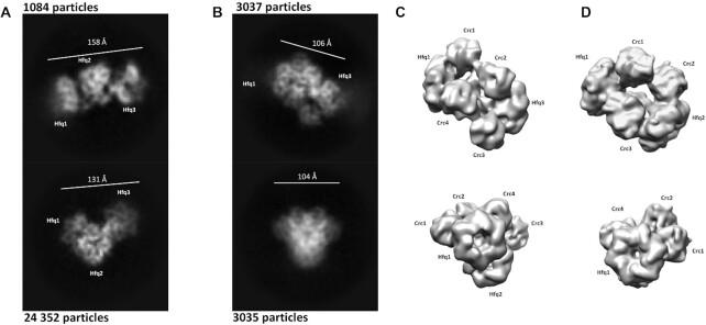 https://cdn.ncbi.nlm.nih.gov/pmc/blobs/688e/8266614/3ff4a55f7642/gkab510fig3.jpg