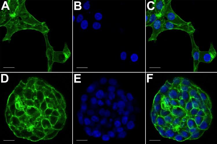 https://cdn.ncbi.nlm.nih.gov/pmc/blobs/6893/5817938/cd278da3a2eb/peerj-06-4340-g003.jpg