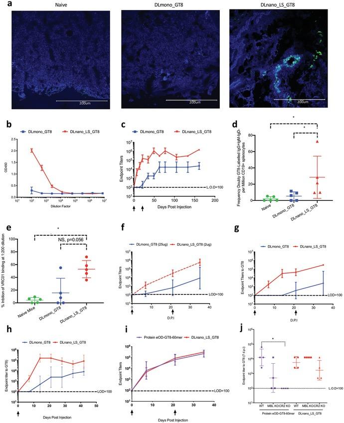 https://cdn.ncbi.nlm.nih.gov/pmc/blobs/6893/7175333/a6bdedff1409/ADVS-7-1902802-g002.jpg