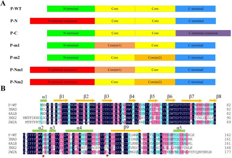 https://cdn.ncbi.nlm.nih.gov/pmc/blobs/6896/8311932/90b178049b4e/12896_2021_705_Fig2_HTML.jpg