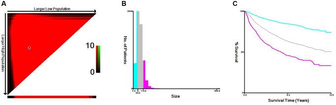 https://cdn.ncbi.nlm.nih.gov/pmc/blobs/6897/10929802/c8ea8b9780f8/aging-16-205562-g002.jpg