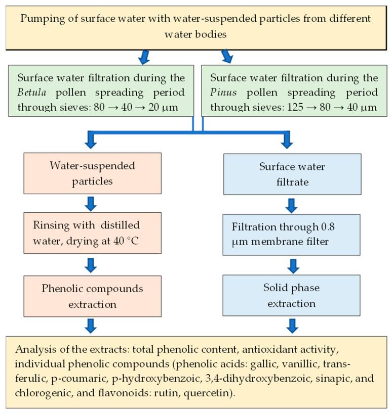 https://cdn.ncbi.nlm.nih.gov/pmc/blobs/6898/10780553/4cb1255dff12/plants-13-00099-g010.jpg