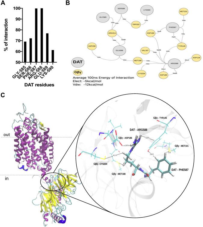 https://cdn.ncbi.nlm.nih.gov/pmc/blobs/6898/8025876/ed4f28eaf80e/fphar-12-642881-g002.jpg