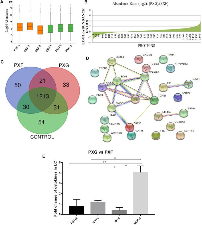 https://cdn.ncbi.nlm.nih.gov/pmc/blobs/6898/9065473/50b735bacea3/fmolb-09-877250-g001.jpg