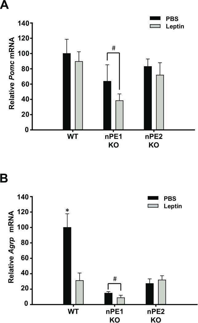 https://cdn.ncbi.nlm.nih.gov/pmc/blobs/689c/7775064/e737d820cb13/pone.0244793.g003.jpg