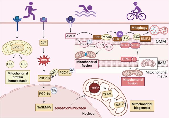 https://cdn.ncbi.nlm.nih.gov/pmc/blobs/689d/11681480/85f211186156/JAH3-13-e036555-g001.jpg