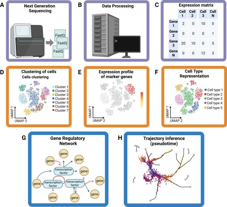 https://cdn.ncbi.nlm.nih.gov/pmc/blobs/689d/11850973/a1b9aae5a8e3/erae454_fig2.jpg