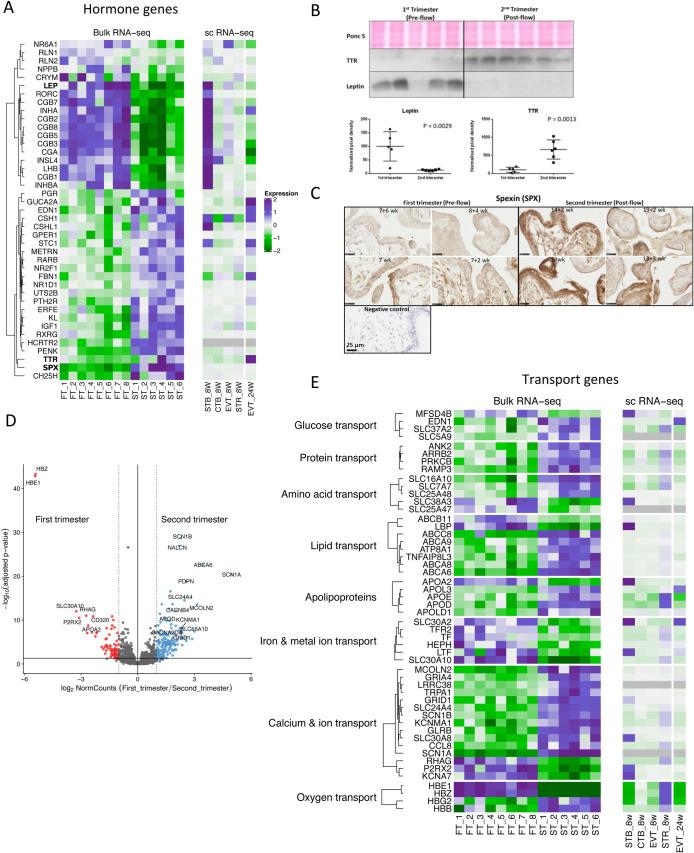 https://cdn.ncbi.nlm.nih.gov/pmc/blobs/689d/8214423/8244b2714b0f/biolopen-10-058222-g3.jpg