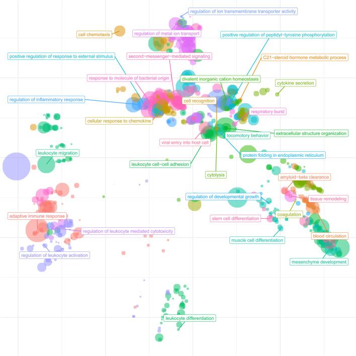 https://cdn.ncbi.nlm.nih.gov/pmc/blobs/689d/8214423/e4f60afa6efa/biolopen-10-058222-g6.jpg