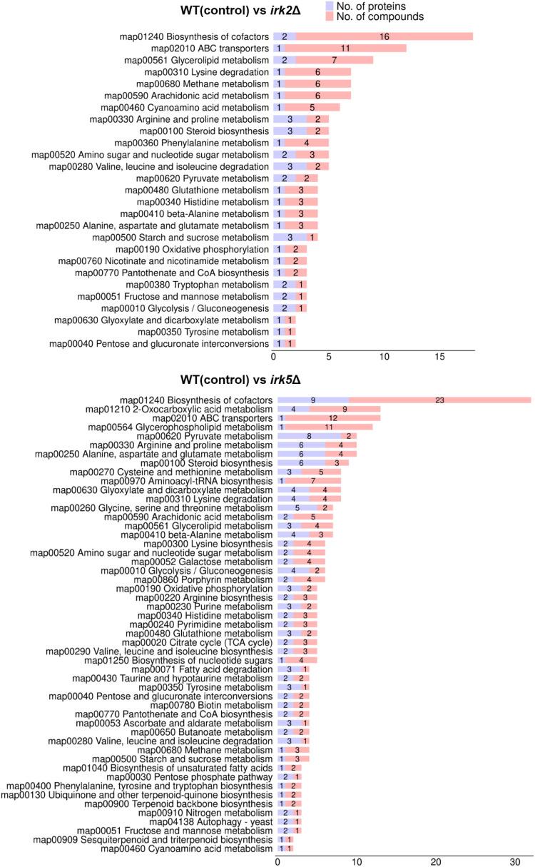 https://cdn.ncbi.nlm.nih.gov/pmc/blobs/689e/12214898/ccdeb4971e5b/fcimb-15-1600041-g003.jpg