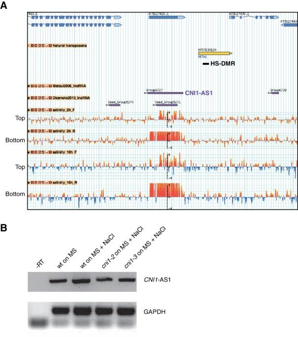 https://cdn.ncbi.nlm.nih.gov/pmc/blobs/68a0/4887212/34e5db6da28f/elife-13546-fig6-figsupp3.jpg