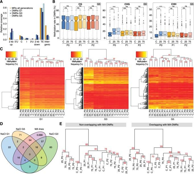 https://cdn.ncbi.nlm.nih.gov/pmc/blobs/68a0/4887212/397b0520874c/elife-13546-fig2.jpg