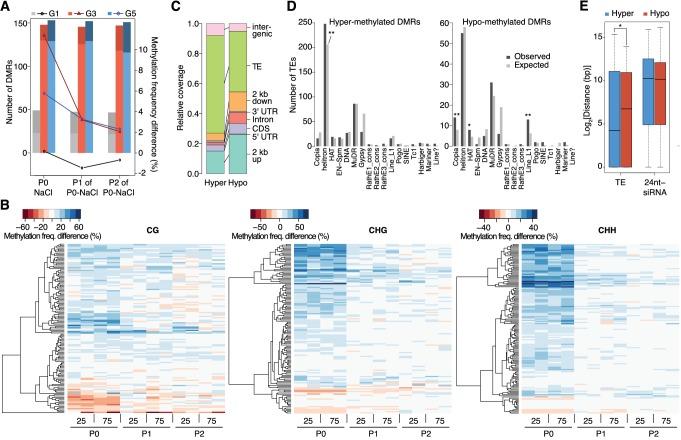 https://cdn.ncbi.nlm.nih.gov/pmc/blobs/68a0/4887212/7e2c9eaae5e9/elife-13546-fig3.jpg