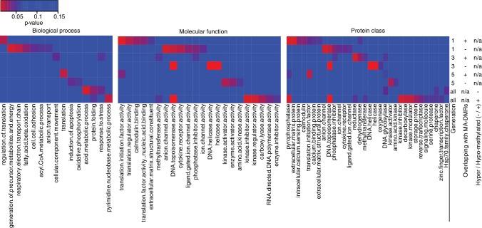 https://cdn.ncbi.nlm.nih.gov/pmc/blobs/68a0/4887212/f83d0bf40c39/elife-13546-fig2-figsupp5.jpg