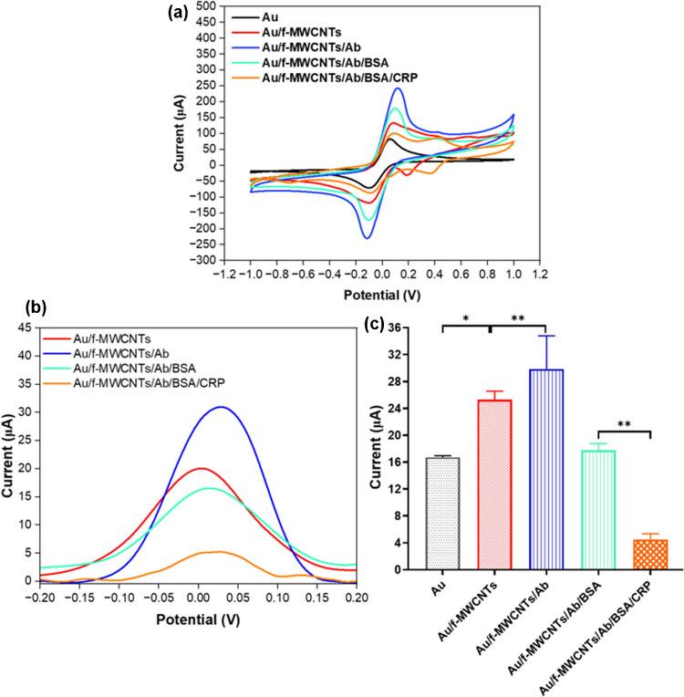 https://cdn.ncbi.nlm.nih.gov/pmc/blobs/68a3/12181133/80459acb4066/604_2025_7252_Fig2_HTML.jpg