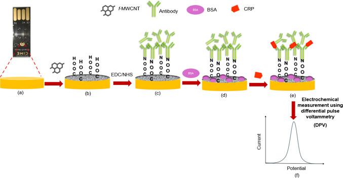 https://cdn.ncbi.nlm.nih.gov/pmc/blobs/68a3/12181133/85c33163582a/604_2025_7252_Fig1_HTML.jpg