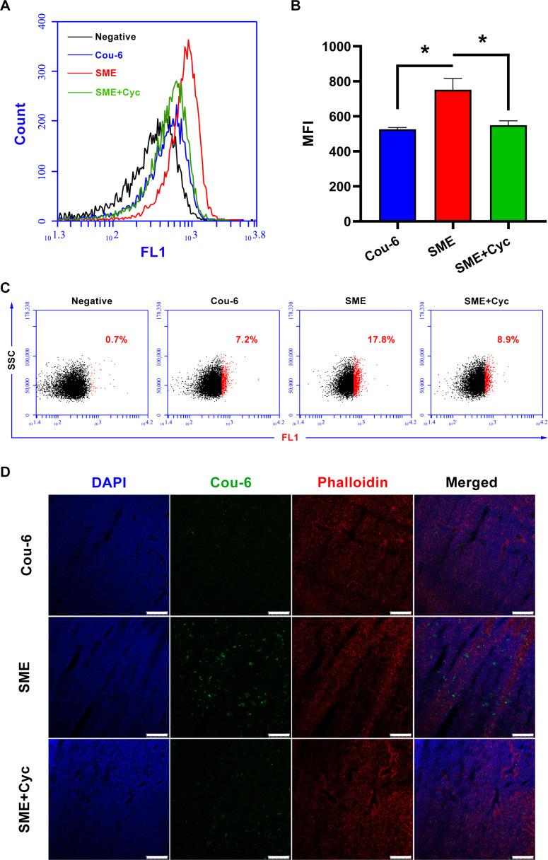 https://cdn.ncbi.nlm.nih.gov/pmc/blobs/68a3/8287630/6de272271e42/jitc-2021-002753f05.jpg