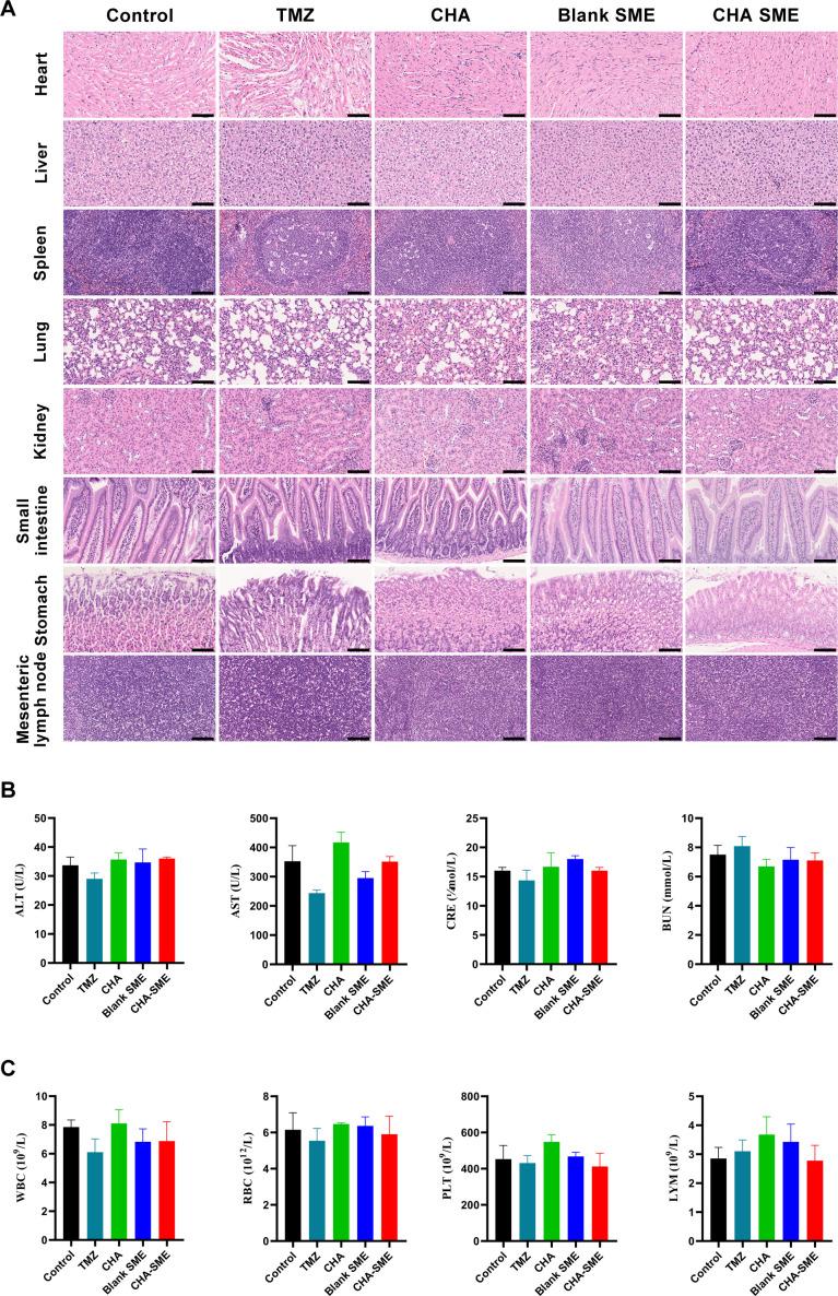 https://cdn.ncbi.nlm.nih.gov/pmc/blobs/68a3/8287630/de0dc03b21ee/jitc-2021-002753f10.jpg