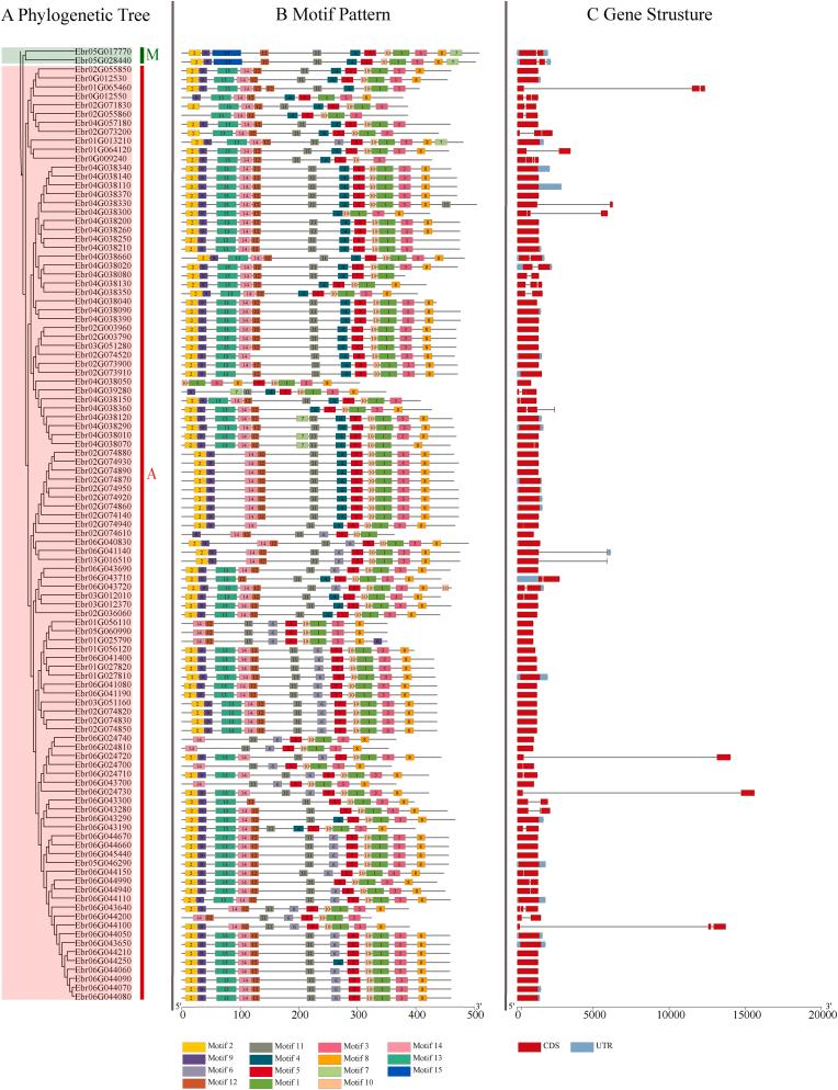 https://cdn.ncbi.nlm.nih.gov/pmc/blobs/68a3/9372747/2a01e6c1098e/gr3.jpg