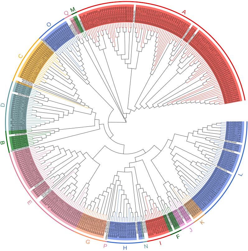 https://cdn.ncbi.nlm.nih.gov/pmc/blobs/68a3/9372747/dc172bcda3ec/gr2.jpg