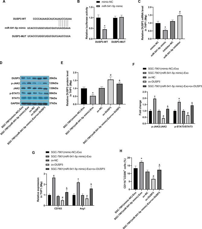 https://cdn.ncbi.nlm.nih.gov/pmc/blobs/68a4/11302208/370406667105/12885_2024_12672_Fig5_HTML.jpg