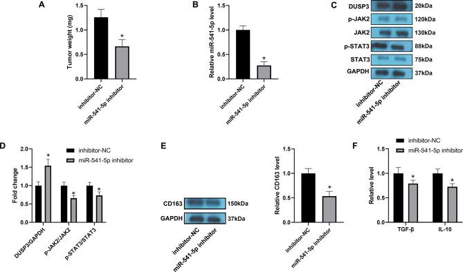 https://cdn.ncbi.nlm.nih.gov/pmc/blobs/68a4/11302208/6b648609d321/12885_2024_12672_Fig6_HTML.jpg
