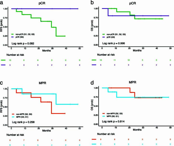 https://cdn.ncbi.nlm.nih.gov/pmc/blobs/68a5/11031406/1c2a1e12a730/41591_2024_2877_Fig12_ESM.jpg