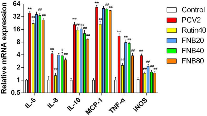 https://cdn.ncbi.nlm.nih.gov/pmc/blobs/68a8/11833999/cdd4c3ad0bce/fvets-12-1539448-g0004.jpg
