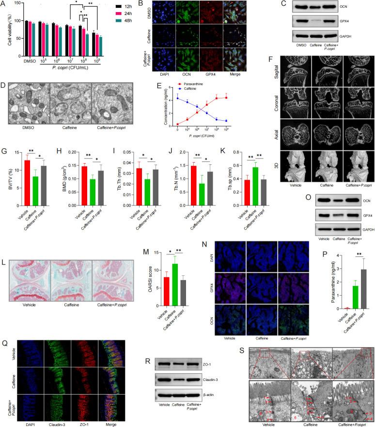 https://cdn.ncbi.nlm.nih.gov/pmc/blobs/68a8/12131801/11c973c075bf/spectrum.01575-24.f006.jpg